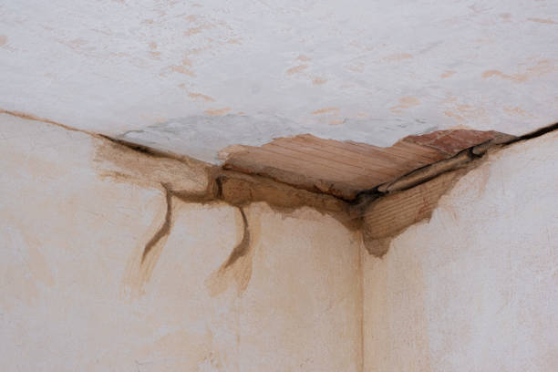 Best Basement water damage restoration  in Siesta Shores, TX