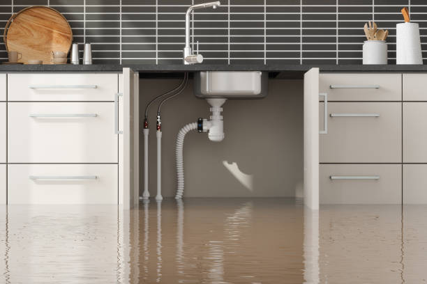 Best Water damage restoration process  in Siesta Shores, TX