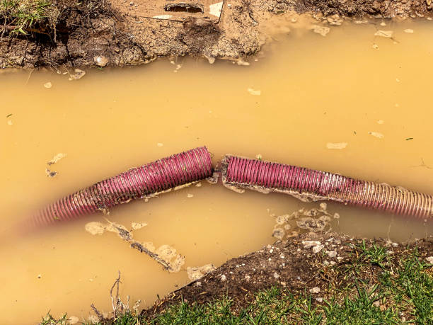 Best Water damage contractors near me  in Siesta Shores, TX